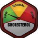 Low Cholesterol Levels and Memory Loss